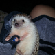 Illustration for article titled Spike had a rough night.
